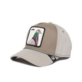 The pigeon gray baseball cap