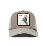 The pigeon gray baseball cap