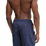 Boxer mare Louis blu