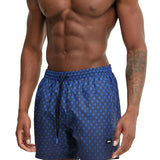 Boxer mare Willow blu