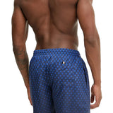 Boxer mare Willow blu