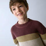 Girocollo manica lunga colorblock prugna