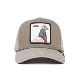 Cappello baseball the pigeon grigio