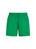 boxer-mare-bandierina-logo-verde