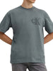 t-shirt-a-maniche-corte-con-logo-sul-petto-grigio