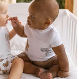 Cpmpleto t-shirt e shorts teddy muffin