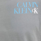 T-shirt Calvin Klein con logo NY grigio