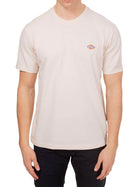 T-shirt Dickies uomo manica corta Mapleton beige