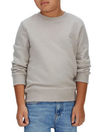 Felpa Calvin Klein Bambino logo mono mini badge grigio