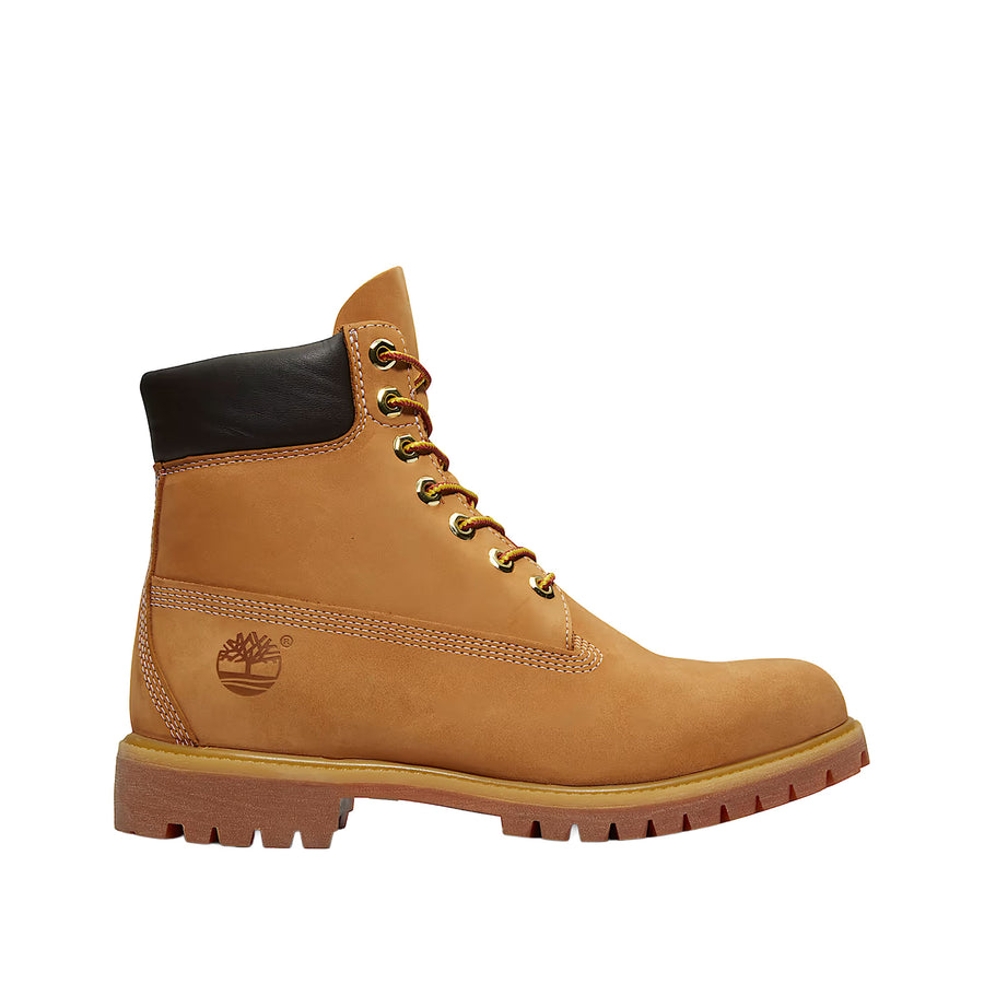 Anfibio Timberland uomo Premium 6 Inch Lace up beige