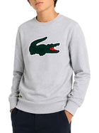 Felpa Lacoste bambino girocollo con maxi logo in piquet grigio