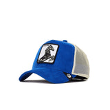 Cappello baseball Stallion bluette