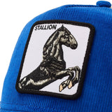 Cappello baseball Stallion bluette